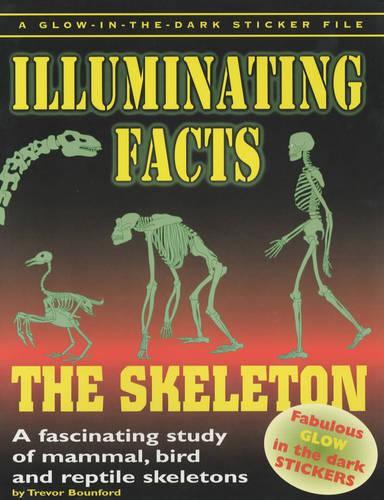 Skeleton