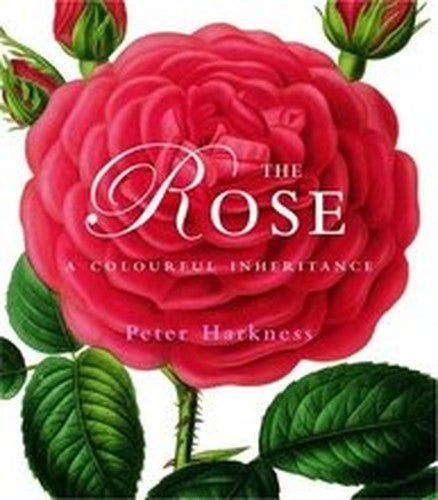 The Rose