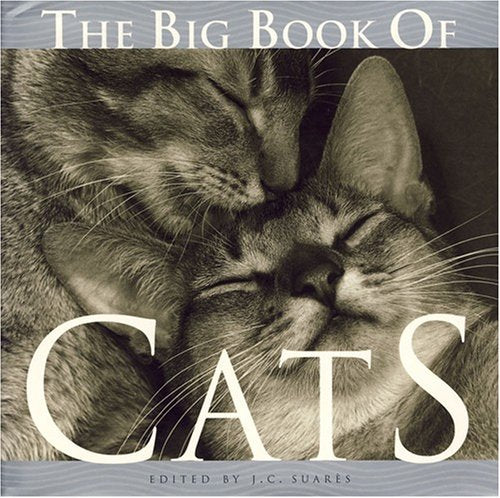 Big Book of Cats, The