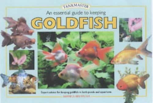 An Essential Guide to Keeping Goldfish