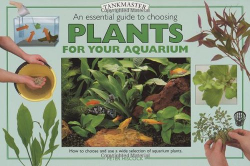 An Essential Guide to Choosing Plants for Your Aquarium