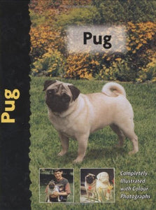 Pug 