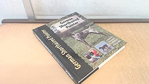 German Shorthaired Pointer 