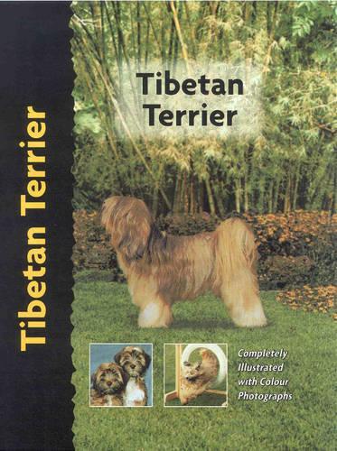 Tibetan Terrier