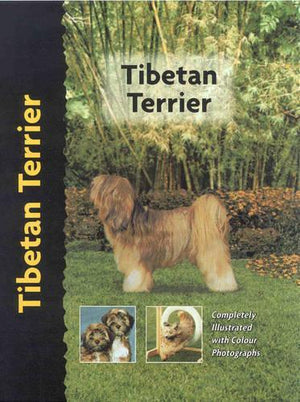 Tibetan Terrier