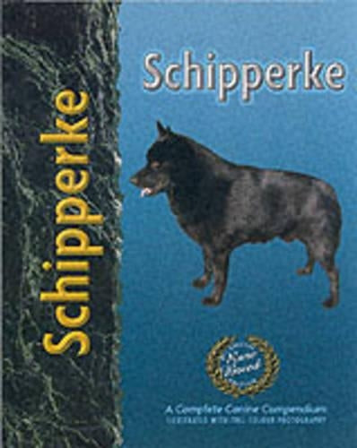 Schipperke