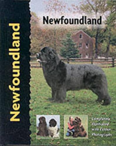Pet Love Newfoundland