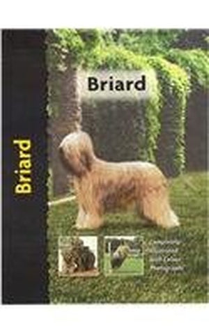 Briard