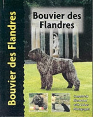 Bouvier des Flandres
