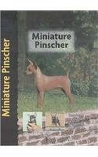 Miniature Pinscher