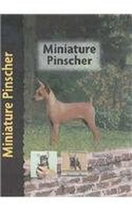 Miniature Pinscher 