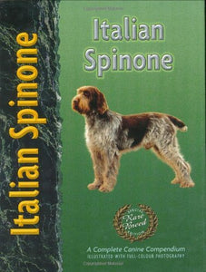 Italian Spinone 