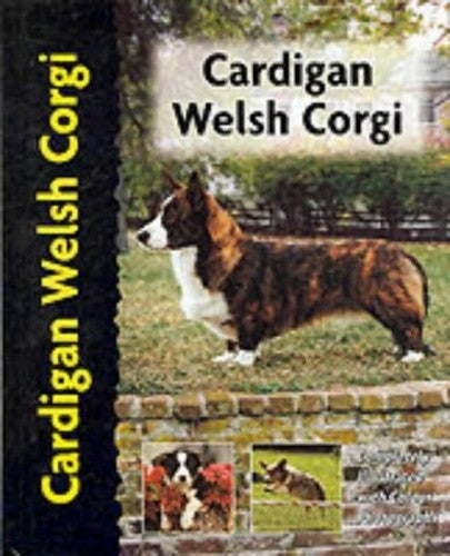 Cardigan Welsh Corgi