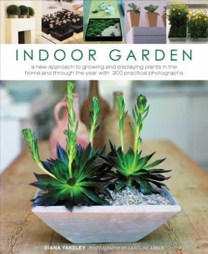 Indoor Garden