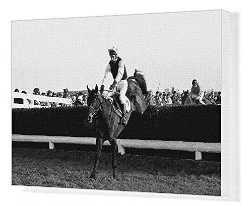 The Wayward Lad