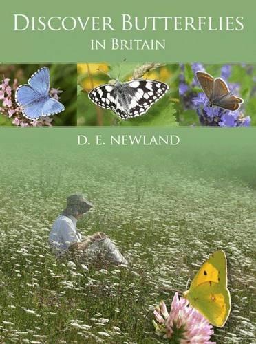 Discover Butterflies in Britain