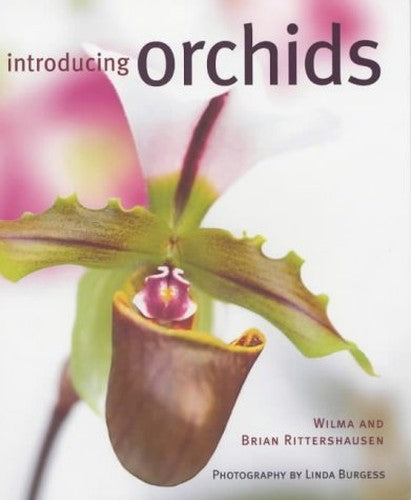 Introducing Orchids