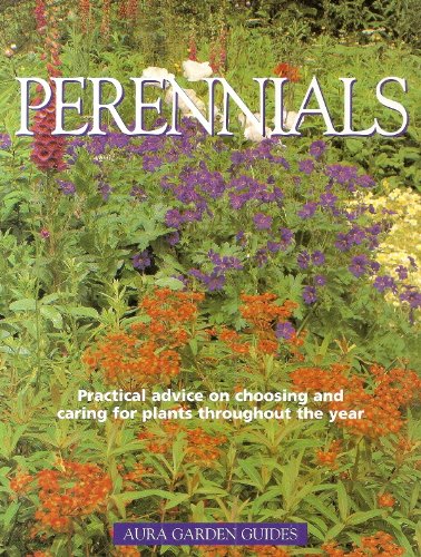 Perennials