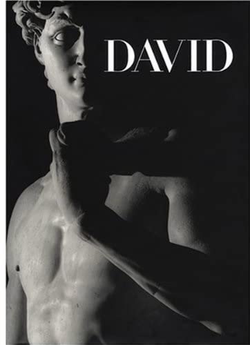 Michelangelo's David