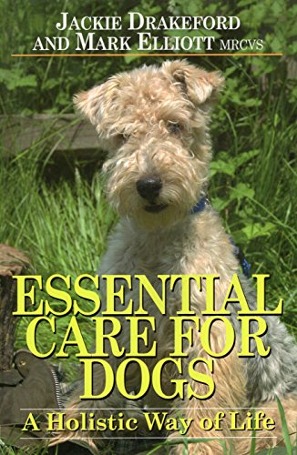 Essential Care for Dogs