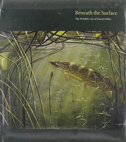 Beneath the Surface
