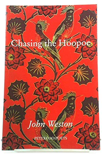 Chasing the Hoopoe