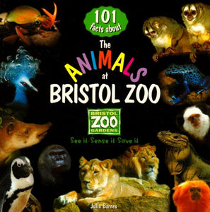 101 Facts About the Animals at Bristol Zoo 