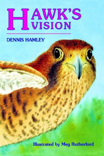 Hawk's Vision