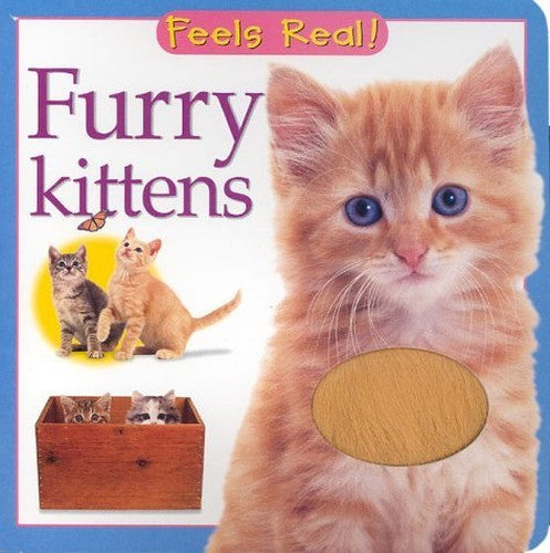 Furry Kittens