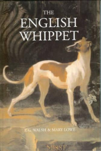 The English Whippet