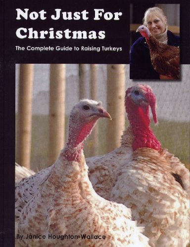 Not Just for Christmas