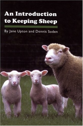 An Introduction to Keeping Sheep