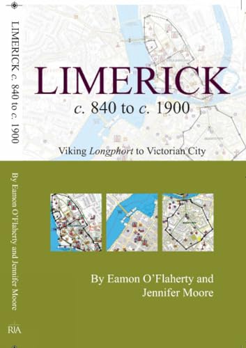 Limerick c. 840 to c. 1900: Viking longphort to Victorian city