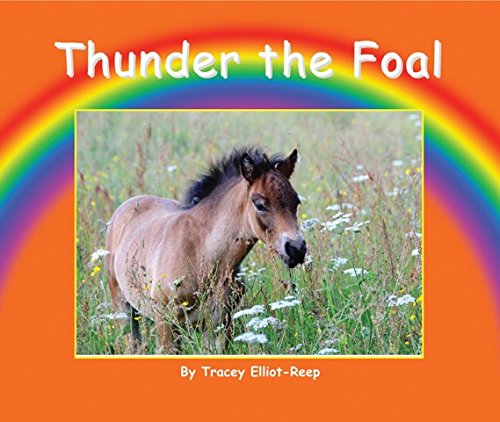 Thunder the Foal