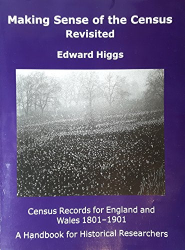 Making Sense of the Census Revisited
