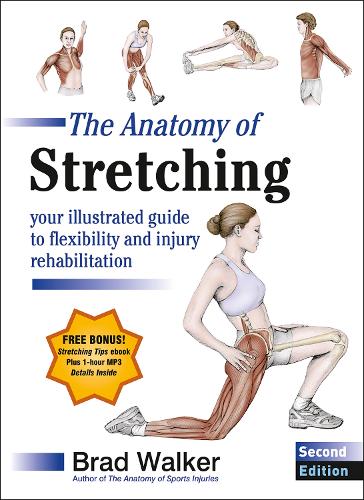 The Anatomy of Stretching