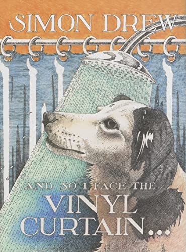 And So I Face the Vinyl Curtain