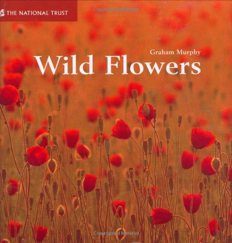 Wild Flowers