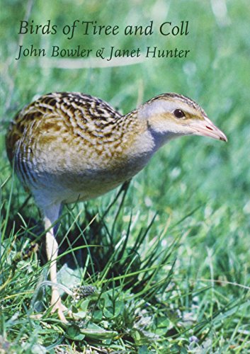 Birds of Tiree and Coll