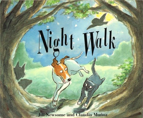 Night Walk