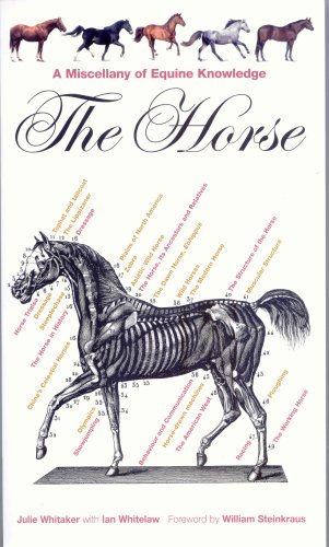 The Horse