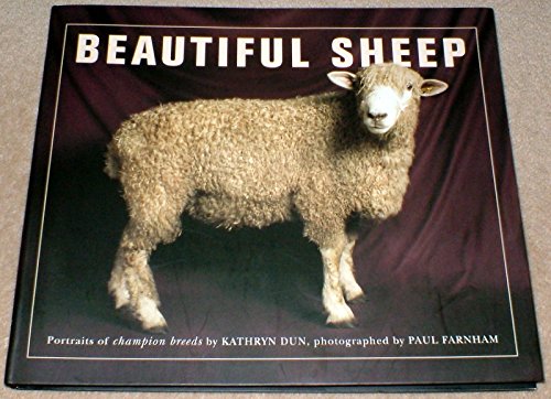 BEAUTIFUL SHEEP