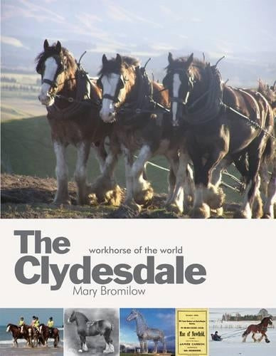 The Clydesdale