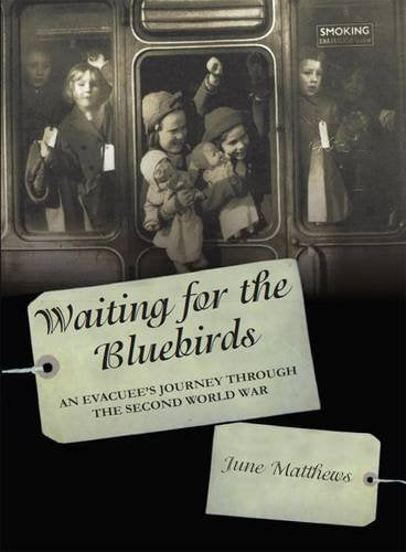 Waiting for the Bluebirds