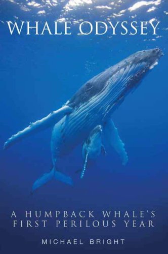 WHALE ODYSSEY
