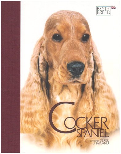 Cocker Spaniel