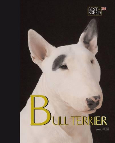 Bull Terrier