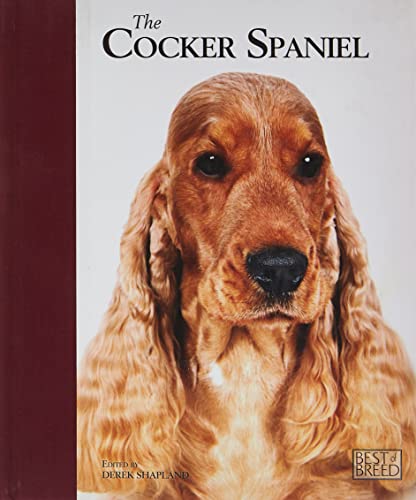 Cocker Spaniel