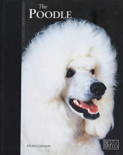 Poodle