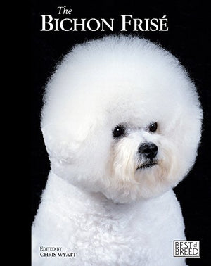 Bichon Frise